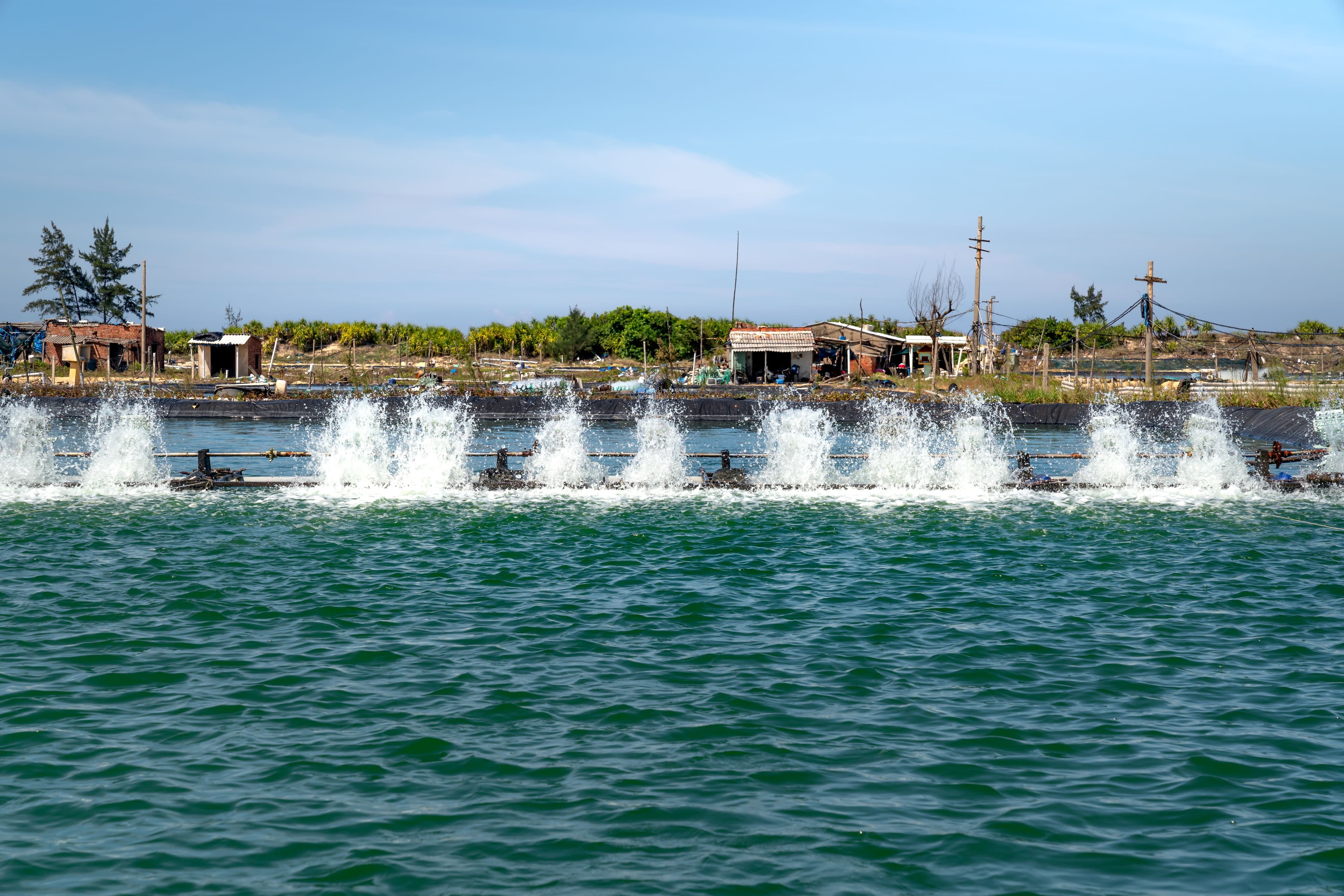 Nanobubble Aeration and Oxidation Upgrade — project visual
